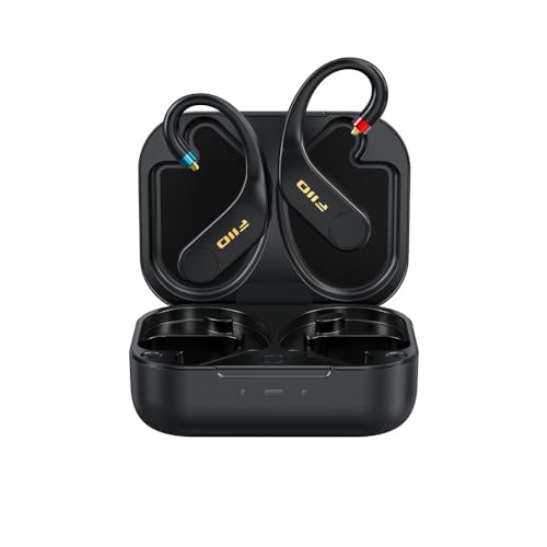 Amazon.co.jp: FIIO UTWS5 2025 MMCX FIO-UTWS5-25-MMCX【日本正規販売